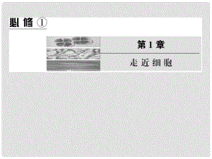 高中生物第一輪復(fù)習(xí) 走進細(xì)胞課件