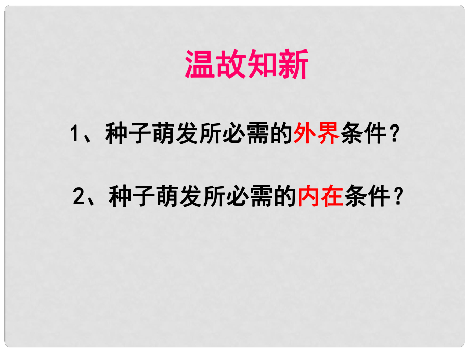 八年級生物上冊 第3單元 第1章 第3節(jié) 芽的發(fā)育課件 （新版）冀教版_第1頁