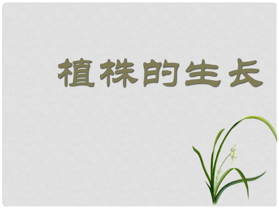 遼寧省大連市四十四中七年級生物 植株的生長課件 人教新課標(biāo)版_第1頁