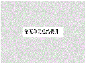 廣西九年級歷史上冊 第5單元 資本主義的發(fā)展和社會矛盾的激化總結(jié)提升課件 中華書局版