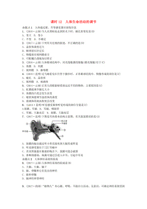 云南專版中考生物 教材考點梳理 第12課時 人體生命活動的調(diào)節(jié)