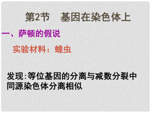 高一生物 第2章 第2節(jié) 基因在染色體上 課件+教案 新人教版必修2基因在染色體上