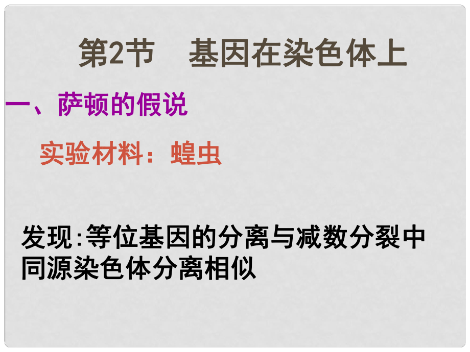 高一生物 第2章 第2節(jié) 基因在染色體上 課件+教案 新人教版必修2基因在染色體上_第1頁(yè)