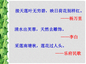 廣東省河源市七年級語文下冊 第四單元 第16課 短文兩篇 愛蓮說課件 新人教版