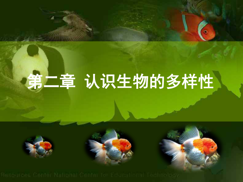 江西省萍鄉(xiāng)四中八年級生物上冊 第六單元第二章認(rèn)識生物的多樣性課件_第1頁