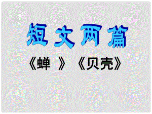 河南省鄭州市侯寨二中七年級(jí)語(yǔ)文上冊(cè)《短文兩篇《蟬》《貝殼》》（第1課時(shí)）課件