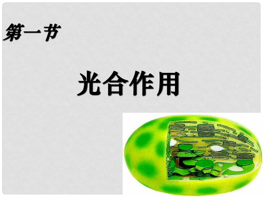 高中生物：第一節(jié) 光合作用課件蘇教版必修1_第1頁