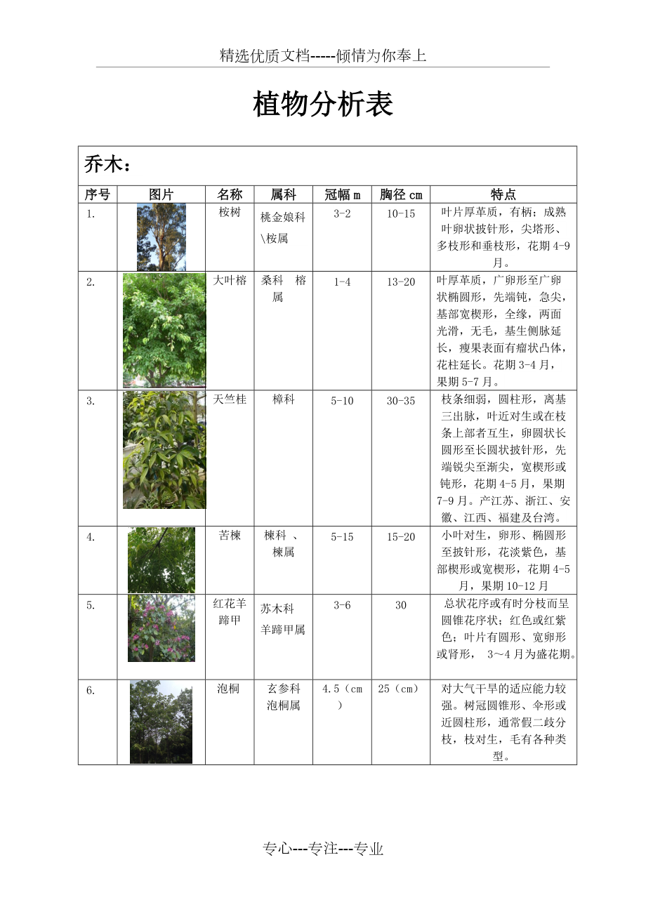 植物配置表(共13页)_第1页