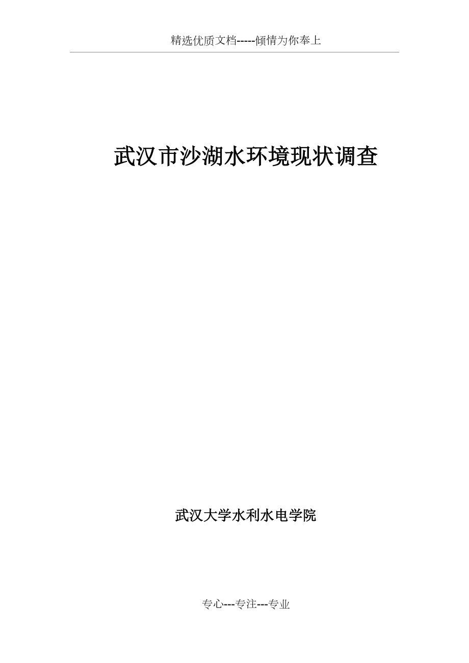 武汉市沙湖水环境现状调查(定稿)(共11页)_第1页