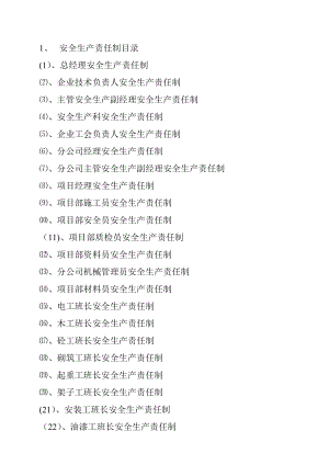 安全生產(chǎn)責任制 (2)