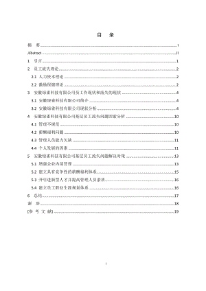 安徽綠雀科技有限公司人員流失問題及對策研究人力資源管理專業(yè)