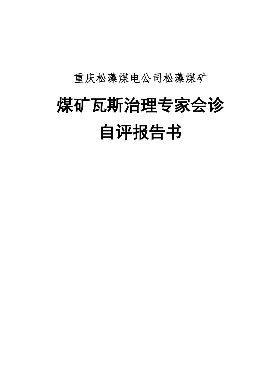 煤矿瓦斯治理专家会诊自评报告书_第1页