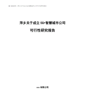 萍乡关于成立5G+智慧城市公司可行性研究报告-（范文模板）