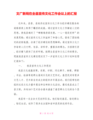 文广新局在全县宣传文化工作会议上的汇报