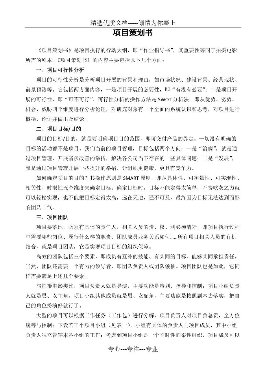 《項目策劃書》(共5頁)_第1頁