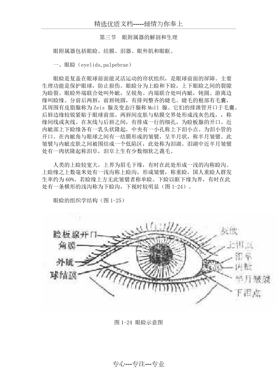 第三节-眼附属器的解剖和生理(共11页)_第1页
