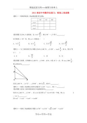江苏省南京中考数学总复习锐角三角函数(共13页)