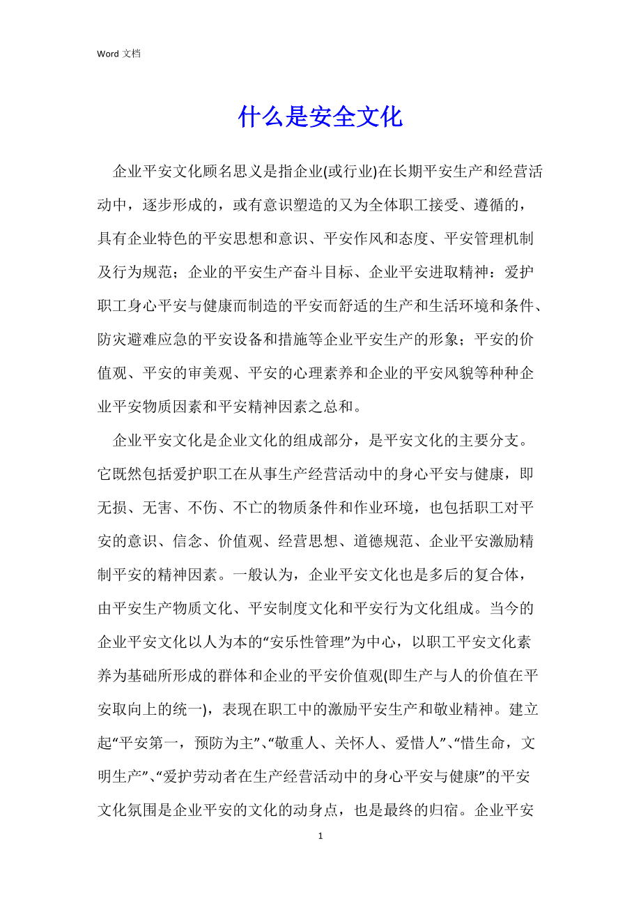 什么是安全文化_第1页