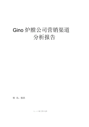 Gino炉膛公司营销渠道分析报告