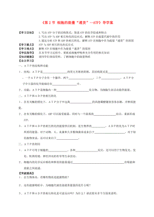 高中生物 《第2節(jié) 細胞的能量“通貨”--ATP》導(dǎo)學(xué)案 新人教版必修1