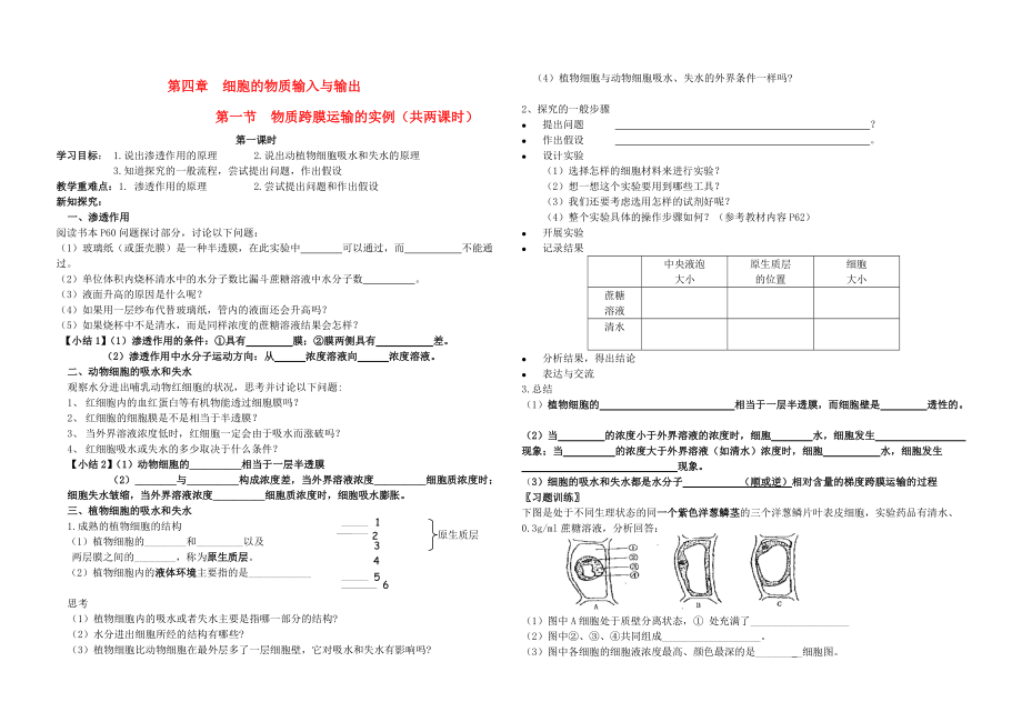 高中生物 物質(zhì)跨膜運(yùn)輸?shù)膶?shí)例學(xué)案 新人教版必修1_第1頁(yè)