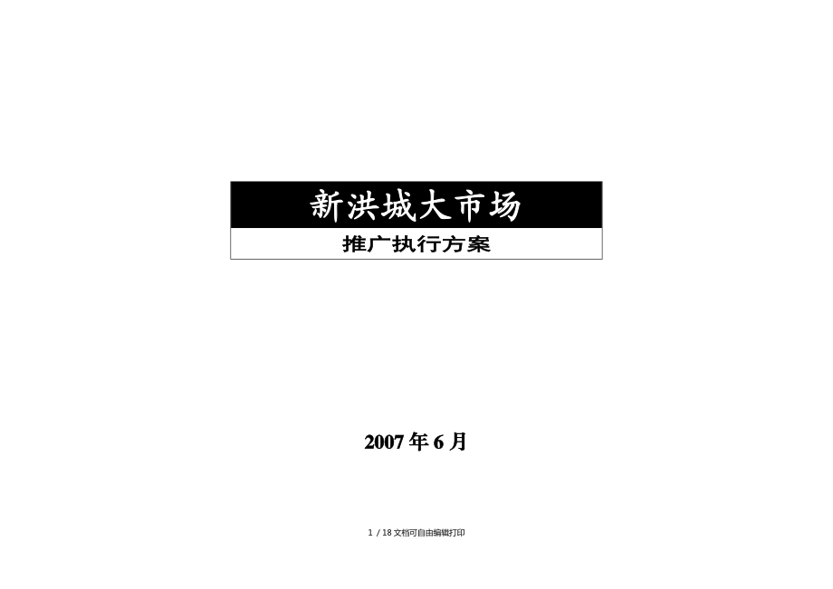 南昌市新洪城大市场推广执行方案_第1页