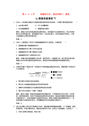 2011高考生物一輪復(fù)習(xí)雙基演練 第6章 細(xì)胞的生命歷程 第2、3、4節(jié) 細(xì)胞的分化、衰老和凋亡、癌變 新人教版必修1