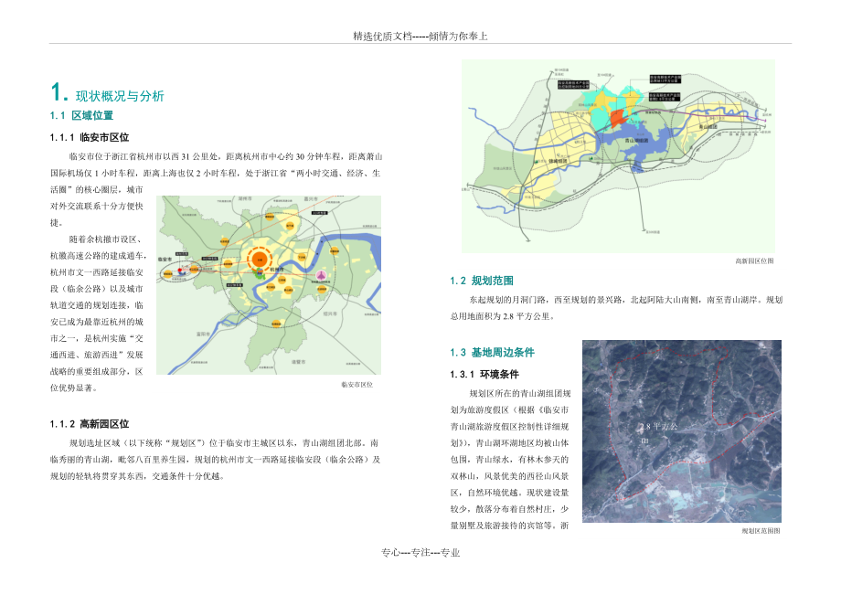 临安控制性详细规划图图片