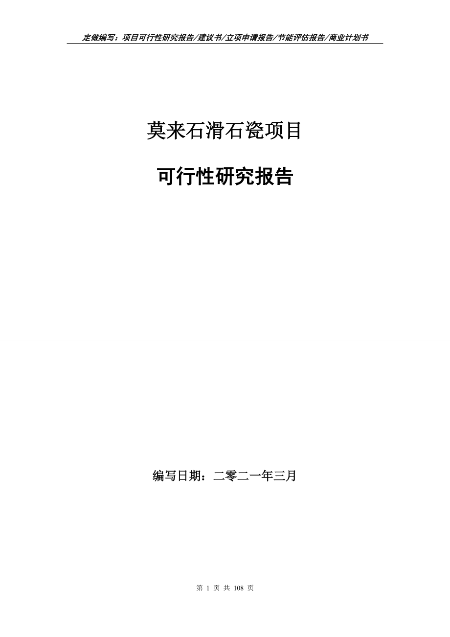 莫来石滑石瓷项目可行性研究报告写作范本_第1页