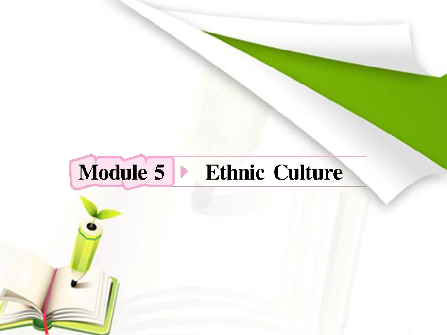 外研版高考英语一轮复习课件选修7Module5EthnicCulture_第1页