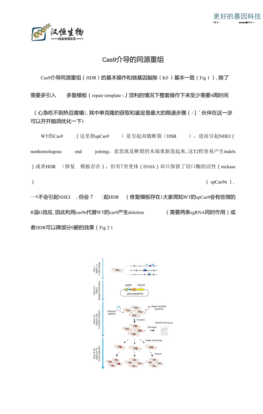 CRISPRprotocol-Cas9介导的同源重组_第1页