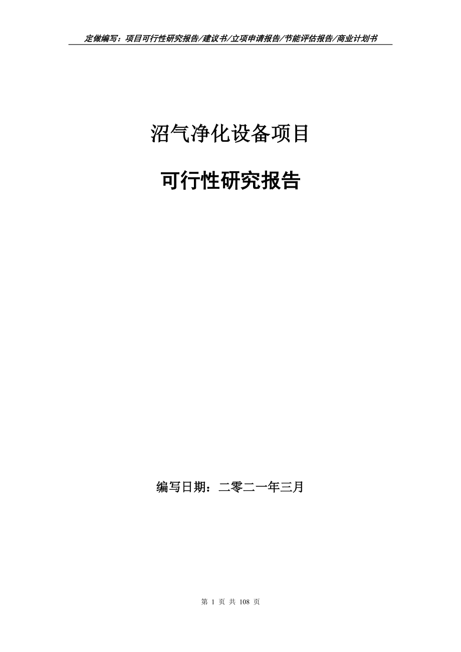 沼气净化设备项目可行性研究报告写作范本_第1页