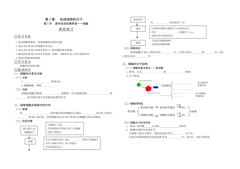 2.3 遺傳信息的攜帶者──核酸 學(xué)案_第1頁