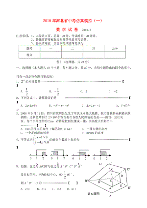 2010年河北省中考数学仿真模拟（一） 人教新课标版