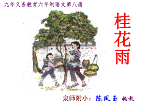 【人教課標(biāo)版】四年級下冊《桂花雨》教學(xué)課件[共14頁]