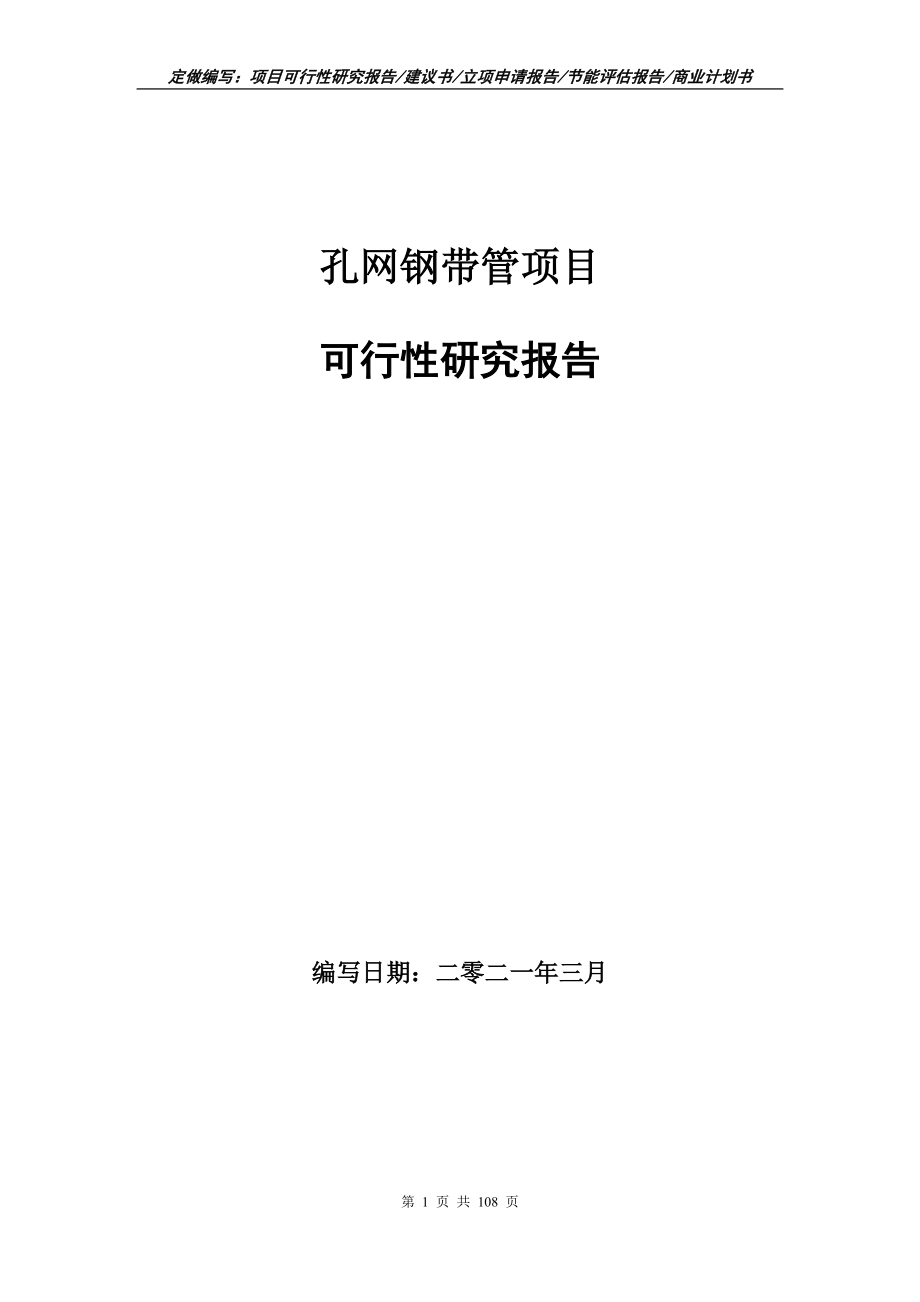 孔网钢带管项目可行性研究报告写作范本_第1页