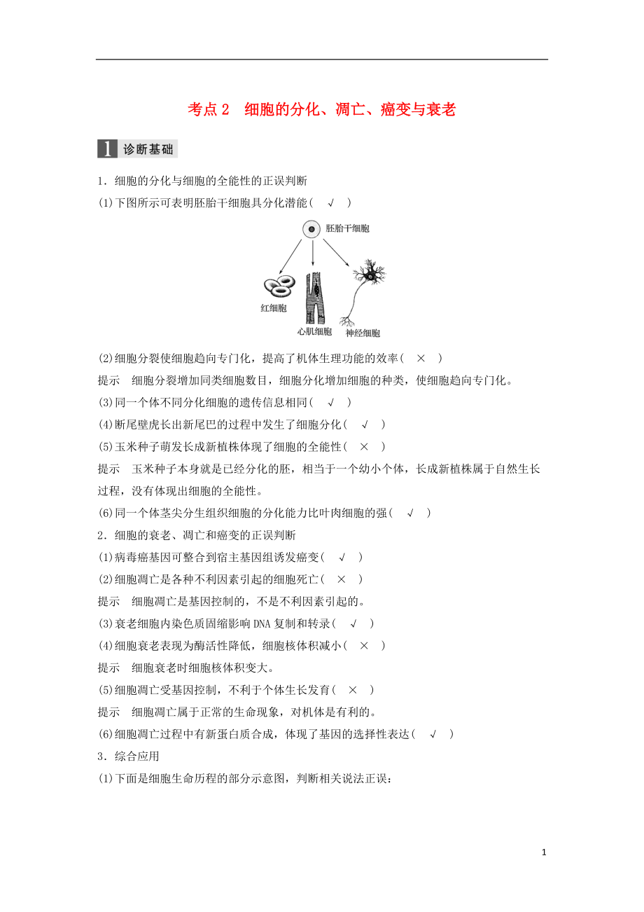 高三生物二轮专题复习专题四细胞的生命历程含减数分裂染色体学说考点细胞的分化凋亡癌变与衰老学案新人教_第1页