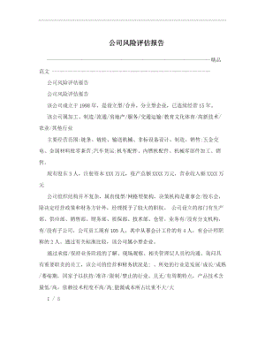 公司風險評估報告