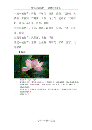 水生花卉30种(共16页)