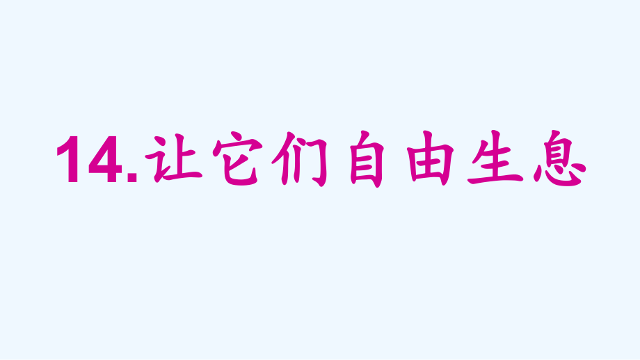 四年級上冊語文課件-四單元 14 讓它們自由生息 語文S版 (共15張PPT)_第1頁