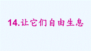 四年級上冊語文課件-四單元 14 讓它們自由生息 語文S版 (共15張PPT)