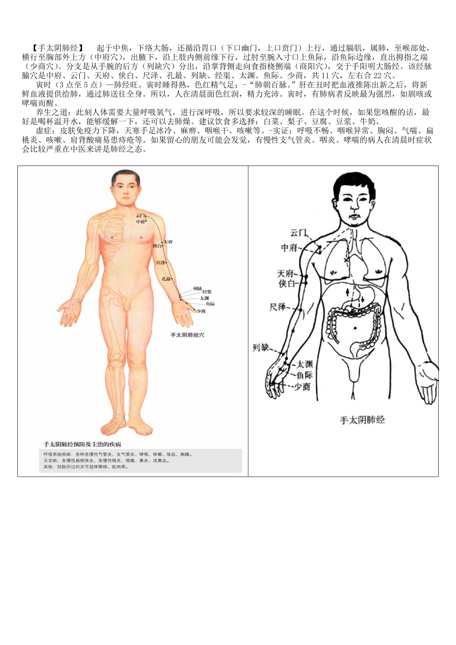 人体经脉十二经脉经八脉全_第1页