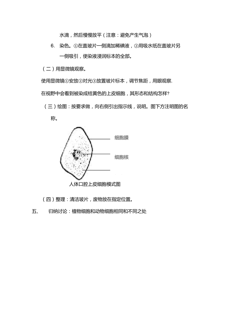 观察人的口腔上皮细胞图片