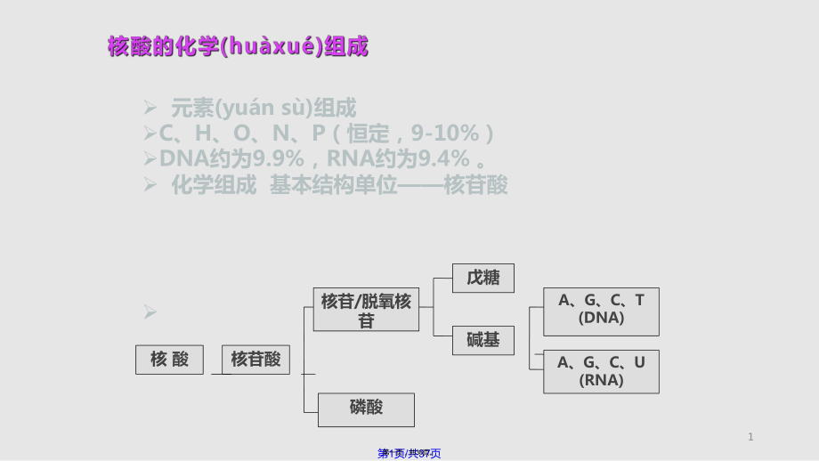 DNA的结构与功能实用教案_第1页