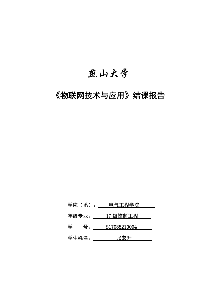 物联网报告模板_第1页