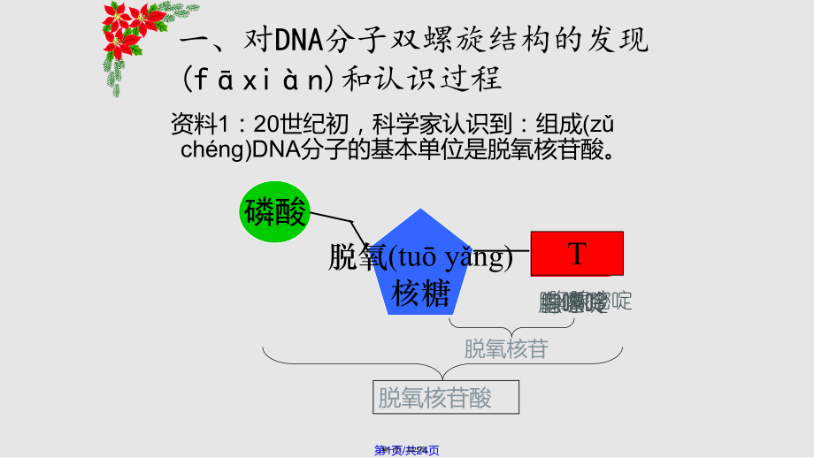 DNA结构和特点实用教案_第1页