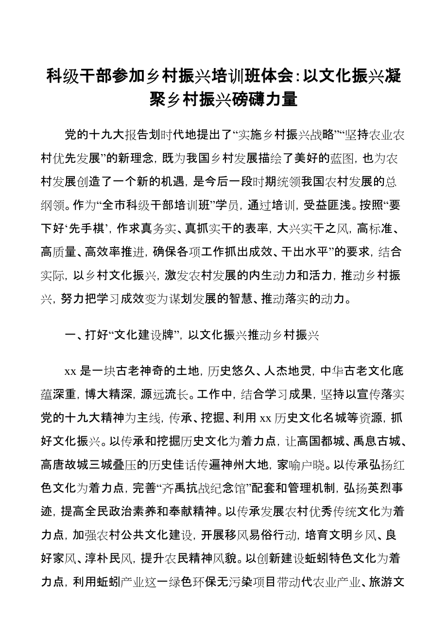 科级干部参加乡村振兴培训班体会：以文化振兴凝聚乡村振兴磅礴力量_第1页