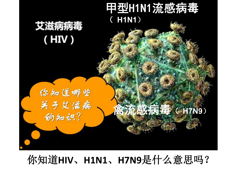 人教版第五章病毒ppt课件新人教版_第1页