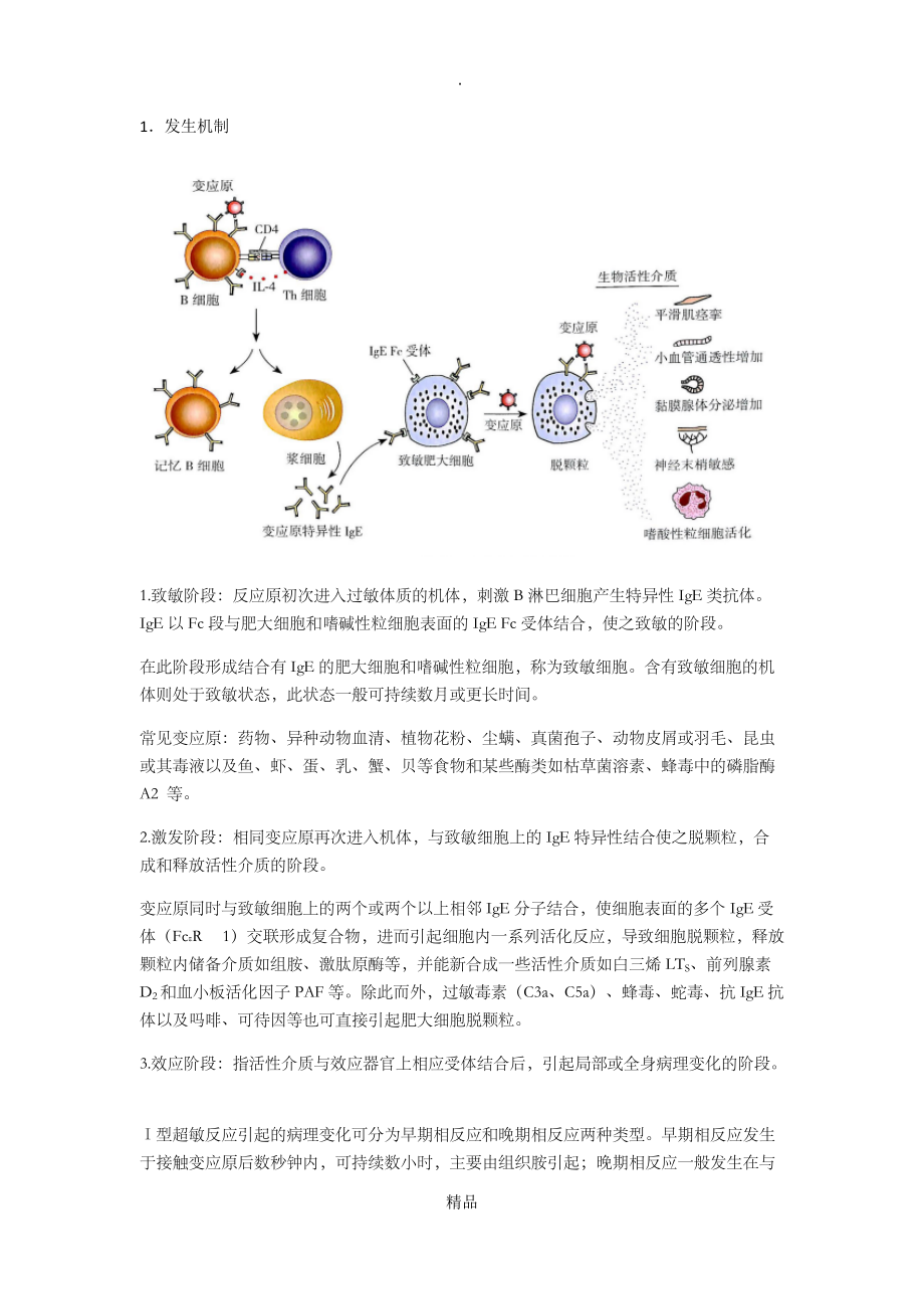 型超敏反應的發生機制和防治原則