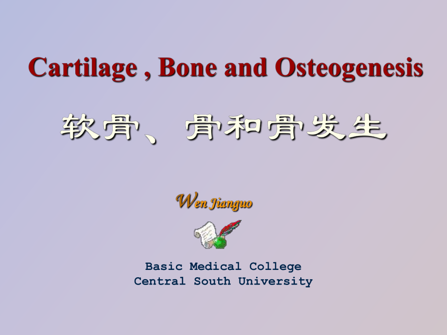 软骨和骨Cartilageandb_第1页